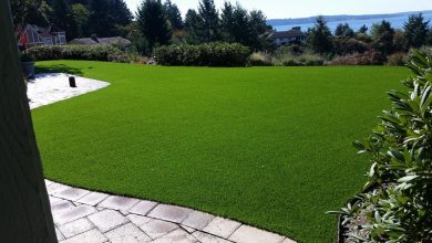 Artificial Grass