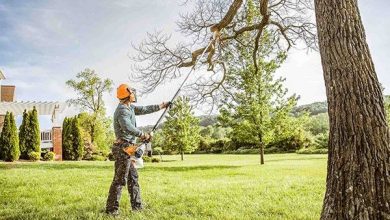 Tree Trimming Houston