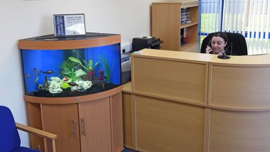 Aquarium in the Workplace