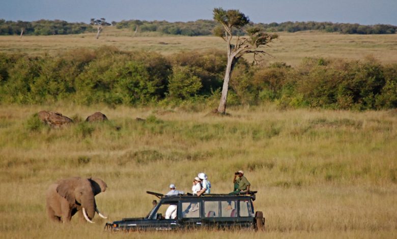 Volunteering in Tanzania